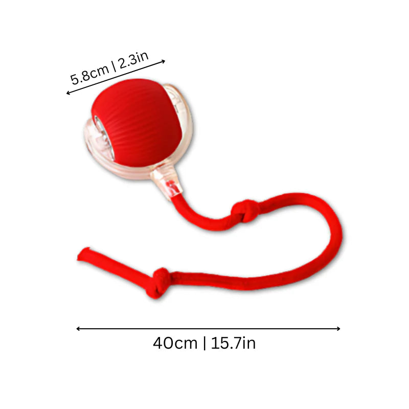 Candix Chase™ – The Smart Motion Ball That Triggers Your Dog’s Natural Play Instinct