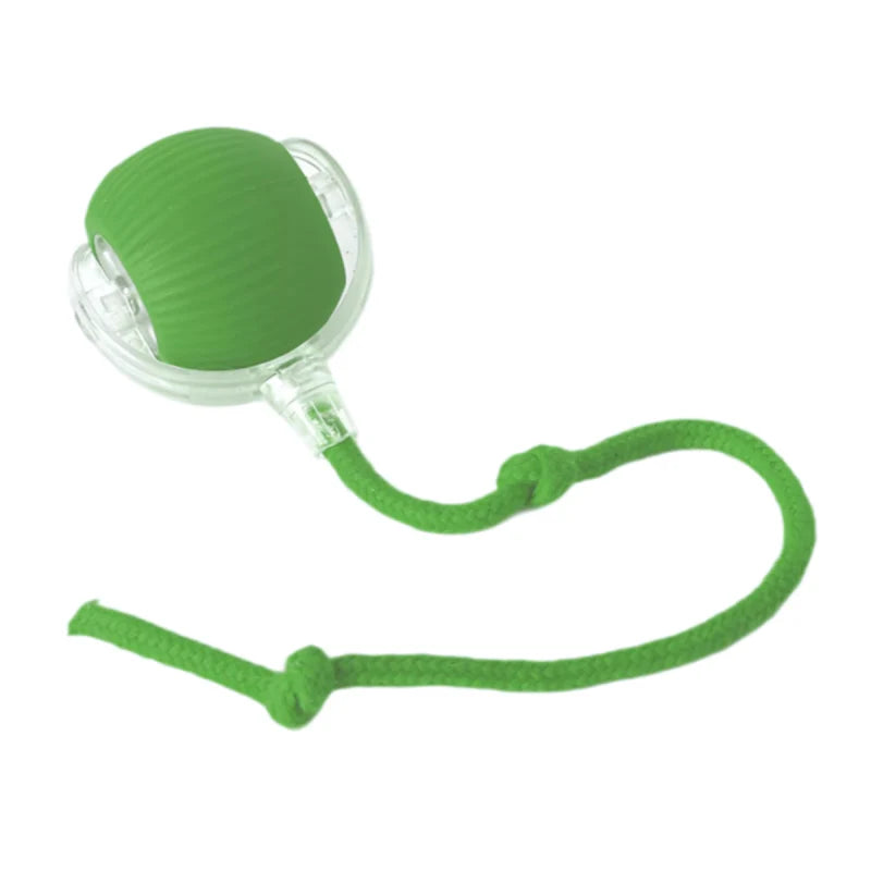 Candix Chase™ – The Smart Motion Ball That Triggers Your Dog’s Natural Play Instinct