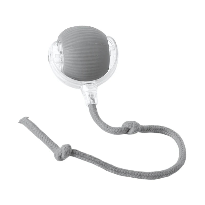 Candix Chase™ – The Smart Motion Ball That Triggers Your Dog’s Natural Play Instinct